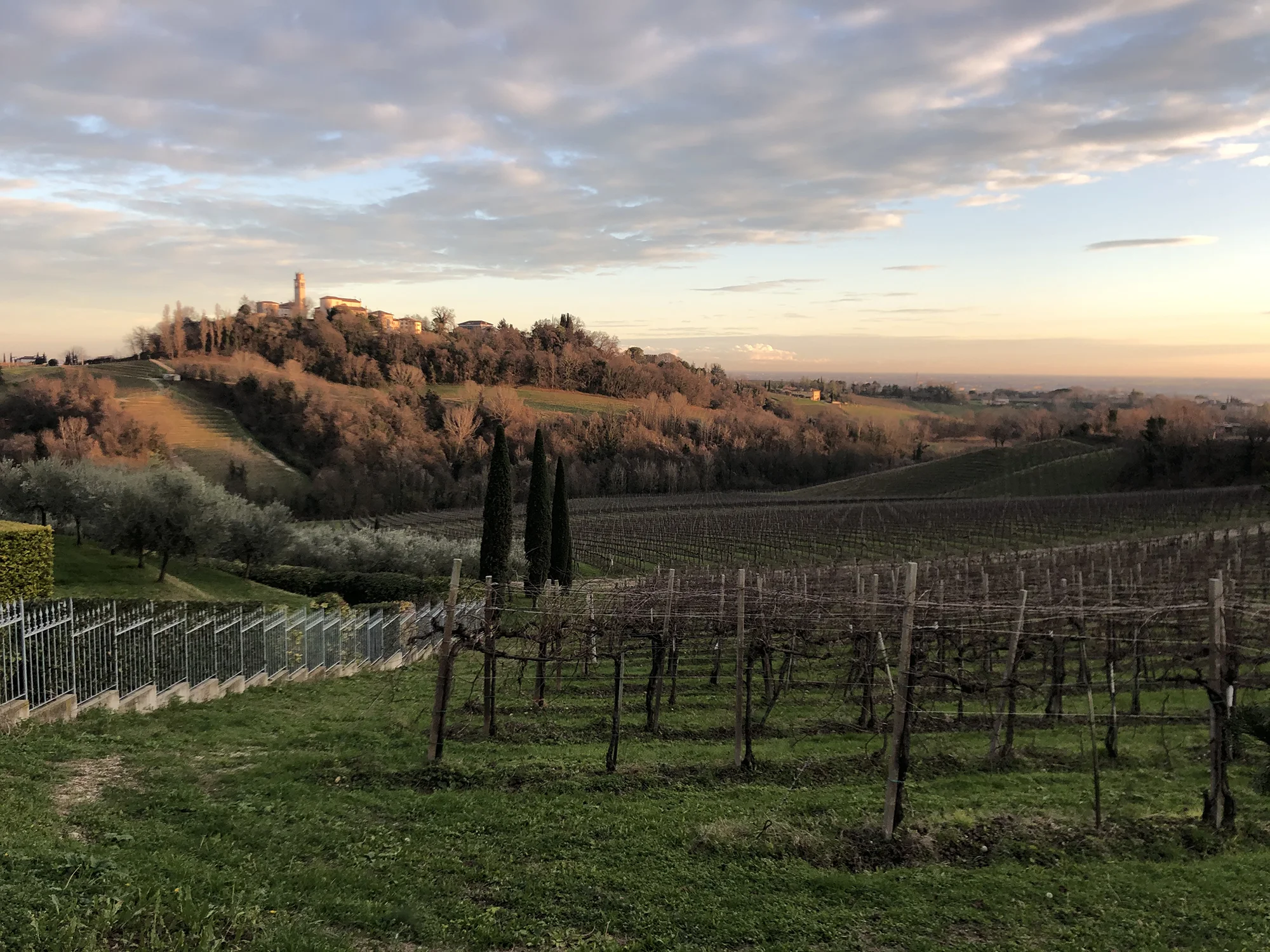 paesaggio-guizzaloonga-social-ride-bike-experience-tra-i-colli-di-conegliano